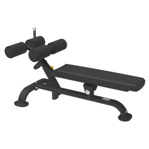  Bronze Gym BR-1005